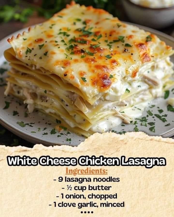 White Cheese Chicken Lasagna – My Blog